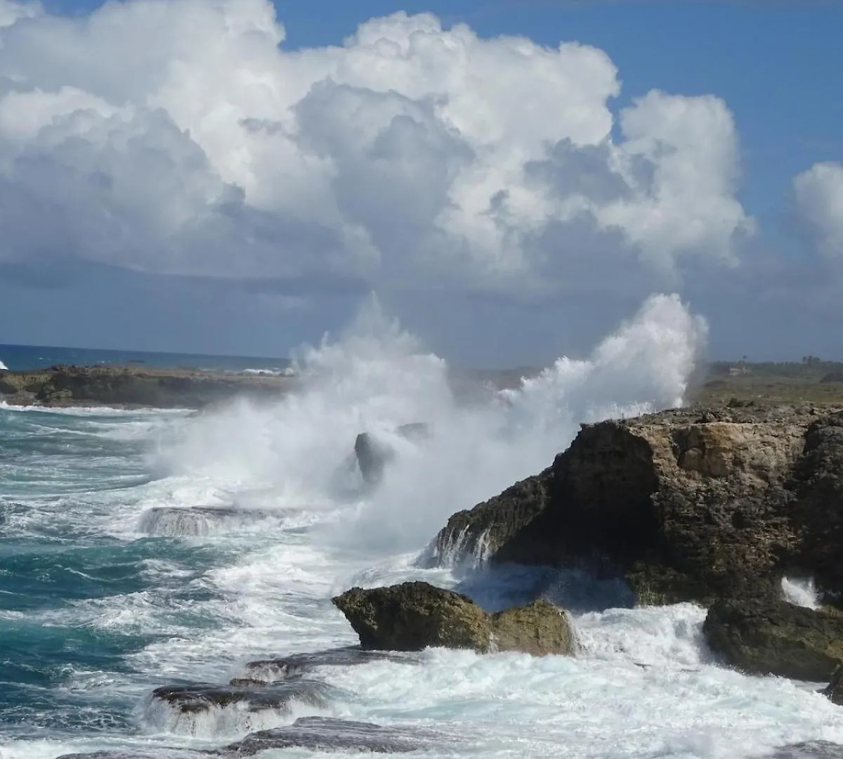 شقة Airy Seaside Apartment, Hastings Barbados بربادوس
