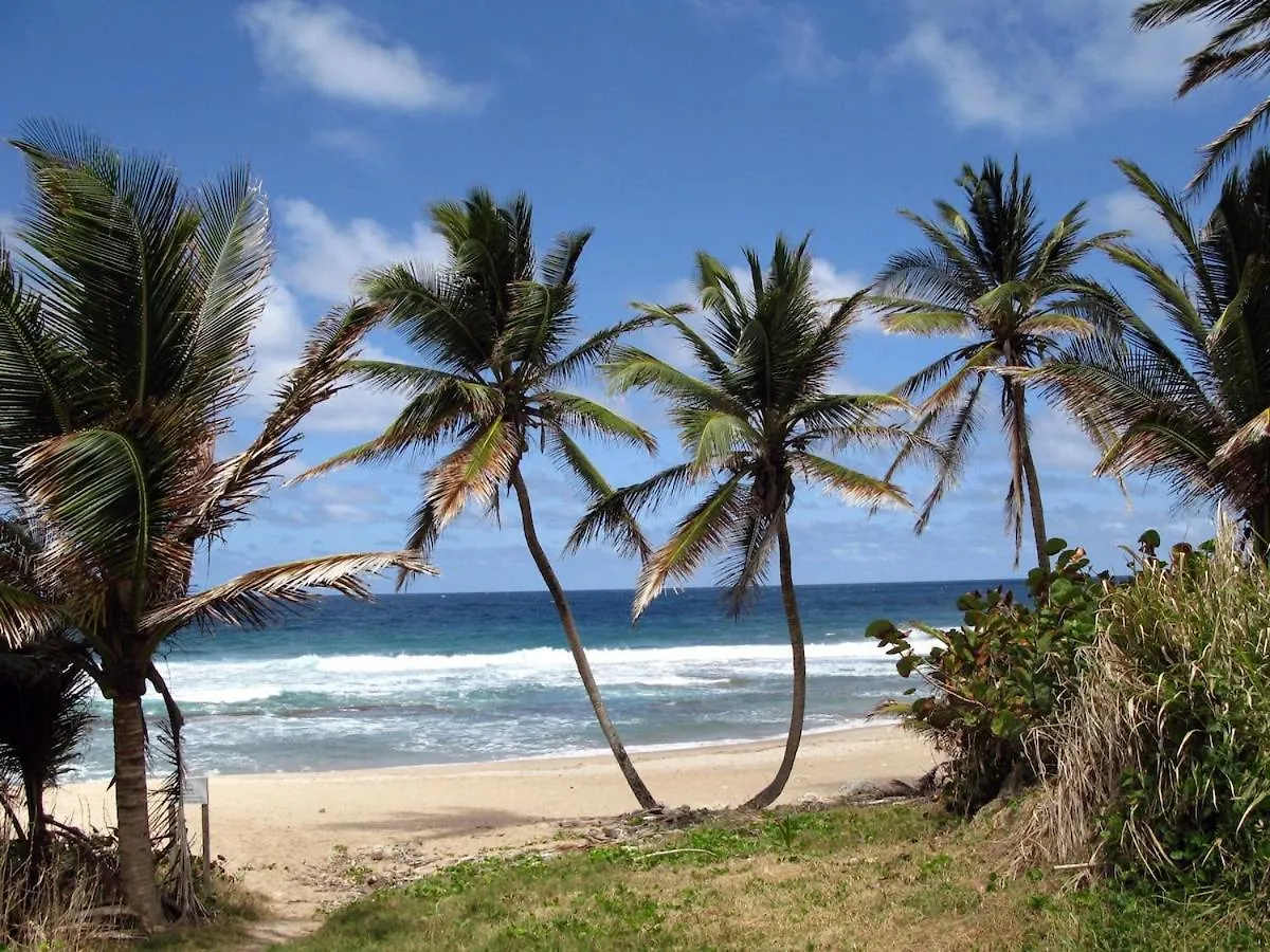 شقة Airy Seaside Apartment, Hastings Barbados