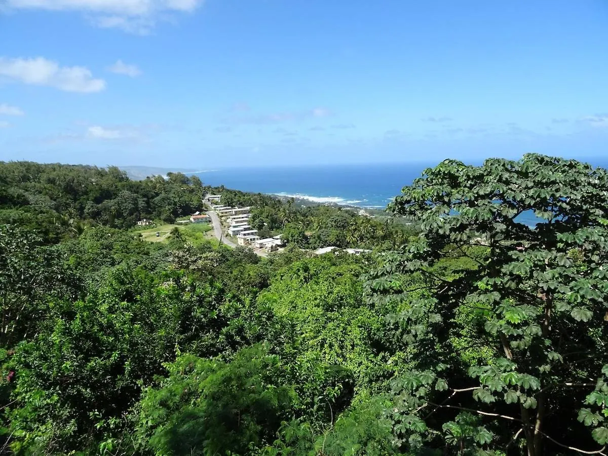 Airy Seaside Apartment, Hastings Barbados