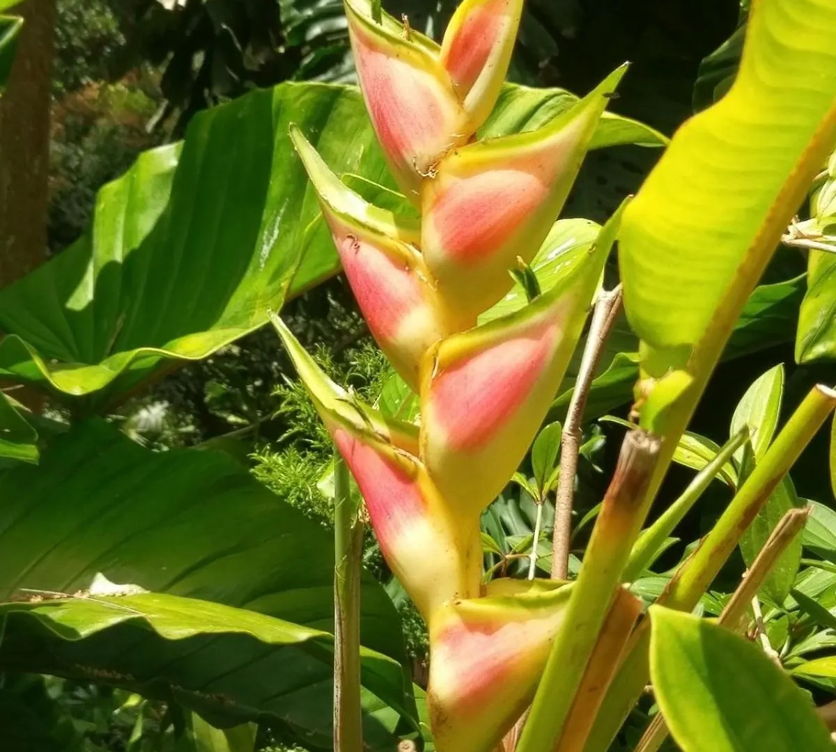 شقة Airy Seaside Apartment, Hastings Barbados