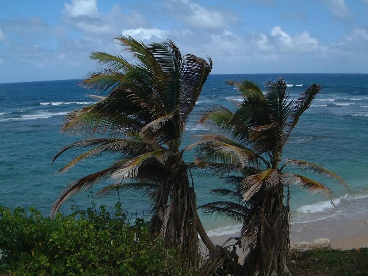 Airy Seaside Apartment, Hastings Barbados 0*, ברידג'טאון ברבדוס
